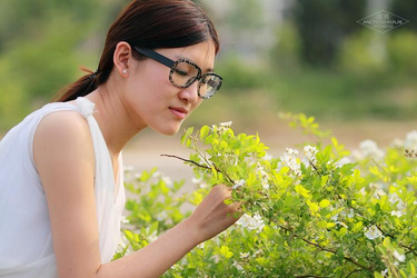 下载注册流程展示